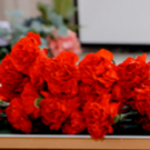 В казанской гимназии № 125 открыли парту Героя в память о погибшем на СВО выпускнике