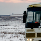 Минсельхоз и минлесхоз РТ оценили последствия рекордных снегопадов