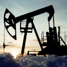 Новак подтвердил повышенный интерес Индии к российской нефти на фоне войны на Ближнем Востоке