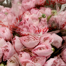 Россиян предупредили о росте числа мошенничеств перед 8 Марта