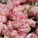 Россиян предупредили о росте числа мошенничеств перед 8 Марта