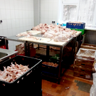 В Казани у производителя мясной продукции изъяли почти 700 килограммов бройлеров с сальмонеллой