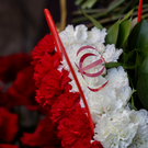 NYT: Иран после начала бомбардировок начал операцию «Безумец»