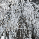 В Татарстане объявили штормовое предупреждение о сильном морозе – будет до минус 34