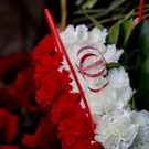 NYT: Иран после бомбардировок начал операцию «Безумец»