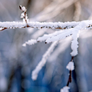 В Казани побит вековой температурный рекорд