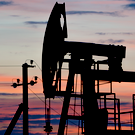 Страны МЭА согласились высвободить рекордный объем запасов нефти из резервов