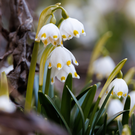 Температура воздуха в Казани второй день подряд бьет рекорды