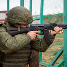 В Госдуму внесли законопроект о привлечении армии к защите арестованных за рубежом