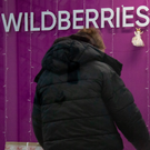 На Wildberries произошел технический сбой: продавцы из Казани пожаловались на пропажу карточек товаров