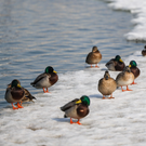 В Татарстане завтра ожидаются гололедица и температурные качели: от минус 9 ночью до плюс 9 днем