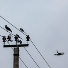 На Кубе второй раз за неделю отключилось электричество