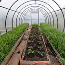 В Казани не смогли продать участок в полтора гектара в Мирном за 223 миллиона рублей