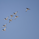 Завтра в Татарстане обещают плюс 15 градусов