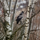 В Казани побит 9-й температурный рекорд за месяц