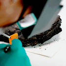 В Нидерландах нашли возможные останки мушкетера д’Артаньяна. Их местонахождение оставалось загадкой с XVII века