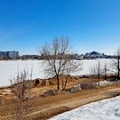 Власти Казани прокомментировали вырубку деревьев вдоль озера Кабан