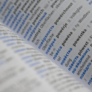 «Известия»: В России спецгруппа займется включением иностранной лексики в словари