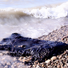 Савельев: пляжи в Анапе могут открыть к 1 июня – после ЧП убрали более 90% мазута