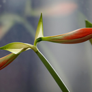 Плюс 15 градусов, дождь и гололедица: татарстанцам дали прогноз погоды на начало апреля