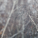 На этой неделе в Татарстан придут дожди, но будет до плюс 16 градусов