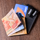 Минцифры РФ предложило эксперимент со льготами при оплате картами «Мир»