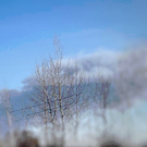 Официально: на территории «Нижнекамскнефтехима» произошло возгорание