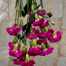 Умер звезда «Маски-шоу» Владимир Комаров