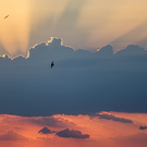 Завтра в Татарстане прогнозируют туман и дождь