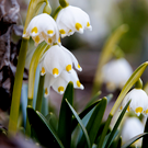 Жаркий июль и дефицит дождей к осени: в гидрометцентре РТ рассказали о погоде на ближайшие полгода