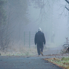 Татарстанцев предупредили о густом тумане: видимость на дорогах резко ухудшится