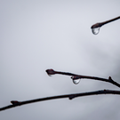 Плюс 16 градусов и дождь: татарстанцам дали прогноз погоды на выходные