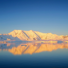 Российские ученые открыли в Антарктиде оазис с 18 озерами