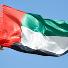 В ОАЭ пострадала россиянка при перехвате БПЛА