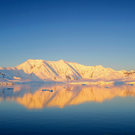 Российские ученые открыли в Антарктиде оазис с 18 озерами