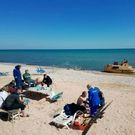 В Азовском море затонул сухогруз с пшеницей