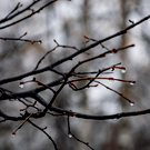 Татарстанцам в начале недели обещают дожди с мокрым снегом