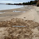 Проект засыпки Волги у Борового Матюшино получил заключение экспертизы