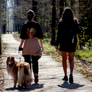 В Горкинско-Ометьевском лесу снегоуборочная техника повредила деревянные дорожки