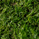 В Казани ужесточат борьбу с парковкой на газонах – штрафовать будут и в зимний период