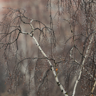 Завтра в Казани обещают до плюс 12 градусов и небольшой дождь