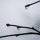 В Татарстане завтра обещают дождь с мокрым снегом и до плюс 7 градусов