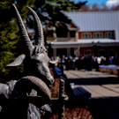 На капремонт музея Тукая в Новом Кырлае выделят 13,6 миллиона рублей – в селе вручат премию имени поэта