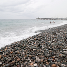 Недалеко от побережья Анапы обнаружили нефтяное пятно, а на пляжах – 200 измазанных птиц