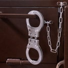 В Госдуме в первом чтении приняли проект о защите арестованных за рубежом россиян с помощью армии