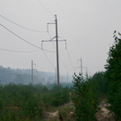 Пожароопасный сезон в Татарстане начнется 25 апреля