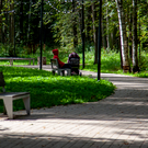 В Татарстане стартует голосование за благоустройство парков на 2027-й – число участников уменьшится