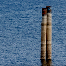 До опасного уровня воды в Куйбышевском водохранилище осталось 58 сантиметров, но власти не прогнозируют подтоплений