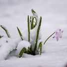 Синоптик: «волна холода» вернет зиму в часть Поволжья перед майскими праздниками