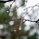 Мокрый снег, дождь и гололедица: татарстанцам рассказали о погоде на завтра